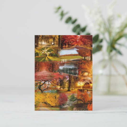 herfst 1 briefkaart (Staand voorkant)