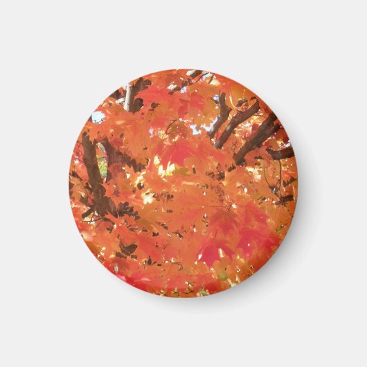 Herfst 1 magneet (Voorkant)
