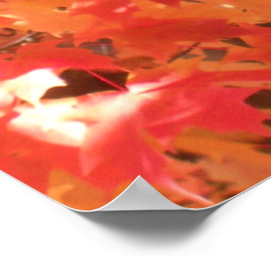 Herfst 1 poster (Hoek)