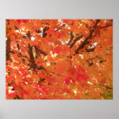 Herfst 1 poster (Voorkant)