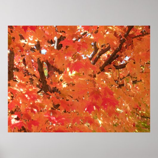 Herfst 1 poster (Voorkant)