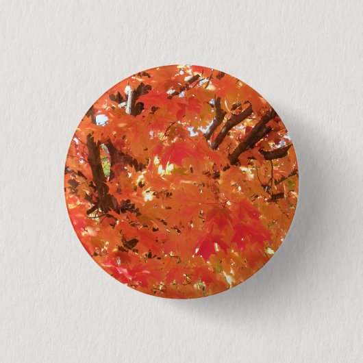 Herfst 1 ronde button 3,2 cm (Voorkant)