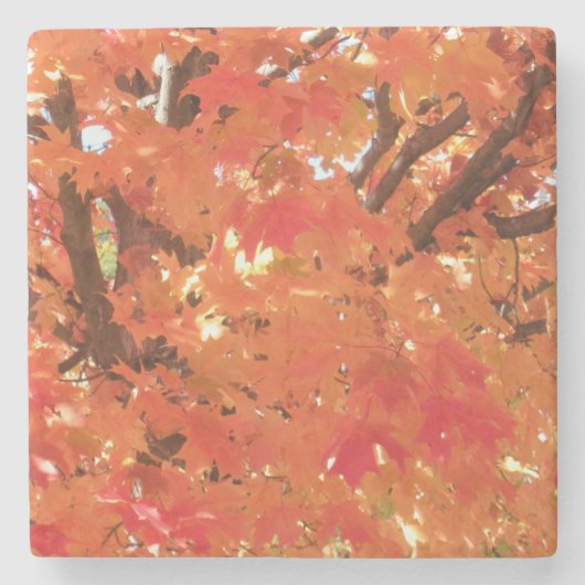 Herfst 1 stenen onderzetter (Voorkant)