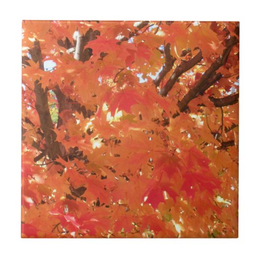 Herfst 1 tegeltje (Voorkant)