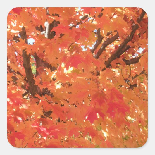 Herfst 1 vierkante sticker (Voorkant)