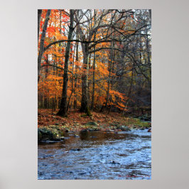 Herfst Aan de Stroom Print #154
