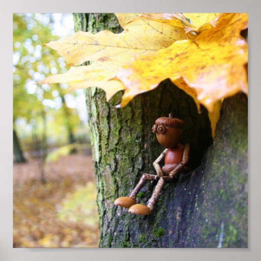 Herfst Acorn elf zittend op de esdoorn boom Poster (Voorkant)