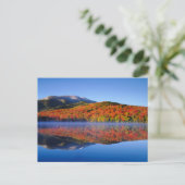 Herfst Adirondack Mountains | New York Briefkaart (Staand voorkant)