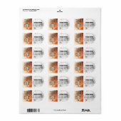 Herfst Allerheiligen Maan Vleermuis Geest Etiket (Full Sheet)