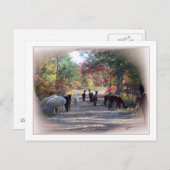 Herfst Alpaca Briefkaart (Voorkant / Achterkant)