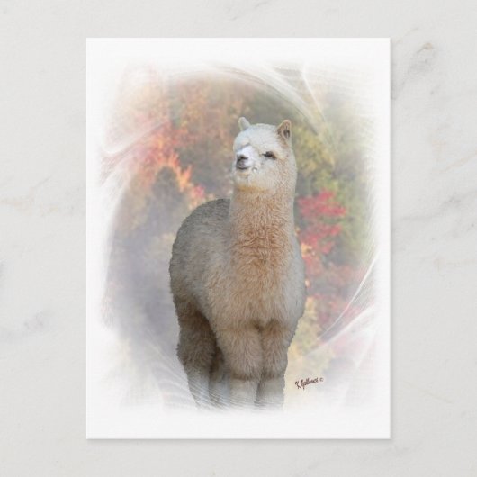 Herfst Alpaca Briefkaart (Voorkant)