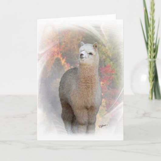 Herfst Alpaca Kaart (Voorkant)