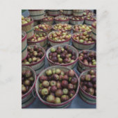 Herfst appels briefkaart (Voorkant)