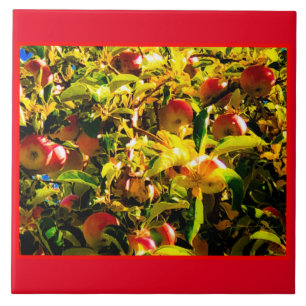 Herfst Apples Tegel Tegeltje