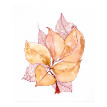 Herfst Aquarel Bladeren Botanische Illustratie