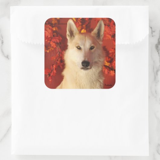 Herfst Arctic Wolf Stickers (Tas)