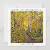 Herfst Aspen-boombos Kaart (Voorkant)