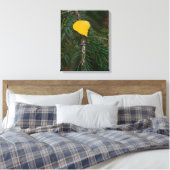 Herfst Aspen Leaf op Evergreen Contrastfoto Canvas Afdruk (Insitu (Slaapkamer))