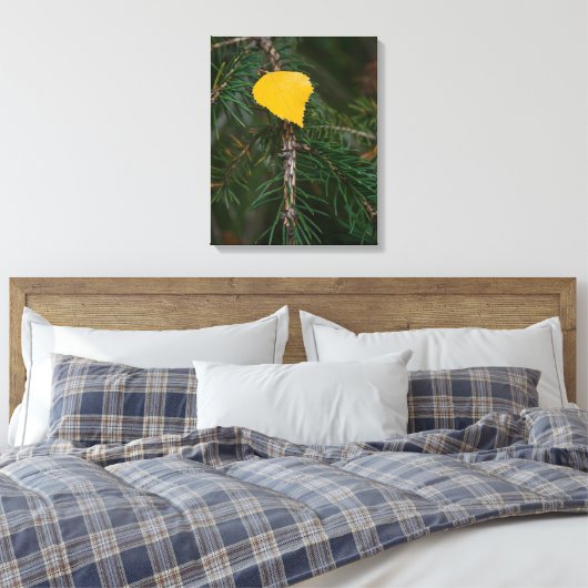 Herfst Aspen Leaf op Evergreen Contrastfoto Canvas Afdruk (Insitu (Slaapkamer))