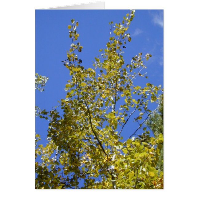 Herfst Aspen Leaves II kaart (Voorkant)