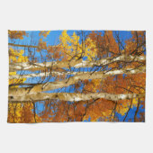 Herfst Aspen Natuur foto © Sandy Long Theedoek (Horizontaal)