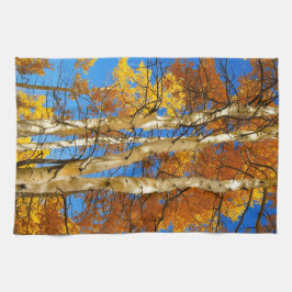 Herfst Aspen Natuur foto © Sandy Long Theedoek