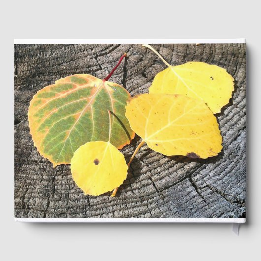 Herfst Aspen verlaat herdenking Gastenboek (Achterkant)