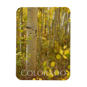Herfst Aspens op Independence Pass Colorado Magneet