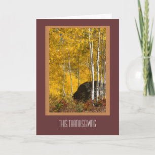Herfst Aspens Thanksgiving card Feestdagen Kaart