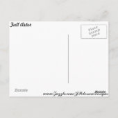 Herfst Aster Briefkaart (Achterkant)