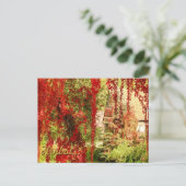 Herfst / Autumn Briefkaart (Staand voorkant)