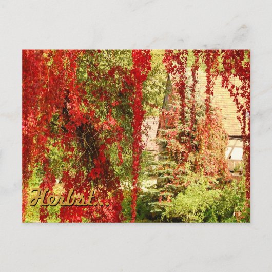 Herfst / Autumn Briefkaart (Voorkant)