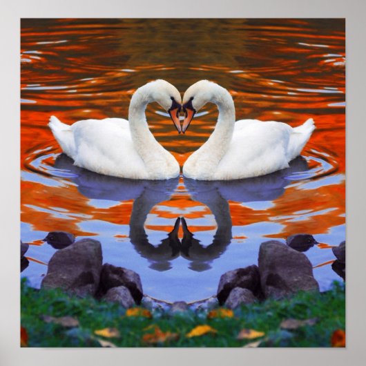 Herfst Autumn Lake Reflections van Swans in Love Poster (Voorkant)