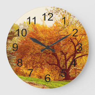 Herfst Autumn Landscape Foto van Central Park Grote Klok