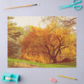 Herfst Autumn Landscape Foto van Central Park Tissuepapier (Craft)
