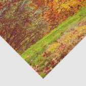 Herfst Autumn Landscape Foto van Central Park Tissuepapier (Detail)