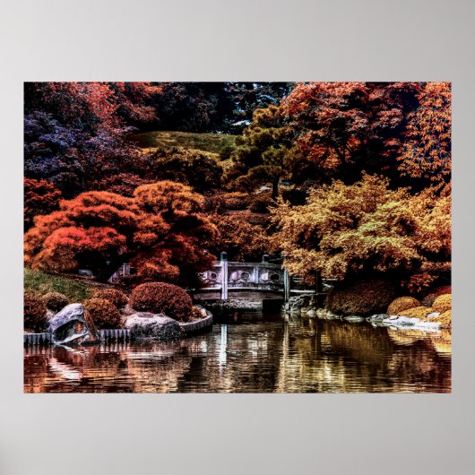 Herfst Autumn Landscape Foto van Park Poster (Voorkant)
