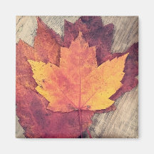Herfst Autumn Leaves Magnet