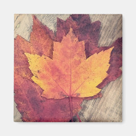 Herfst Autumn Leaves Magnet