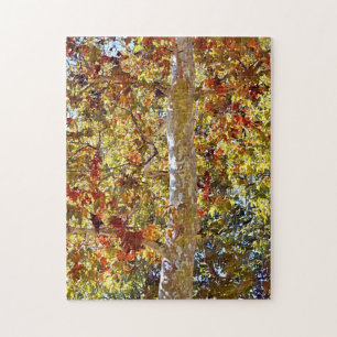 Herfst Autumn Season Sycamore Tree Art Puzzle Legpuzzel