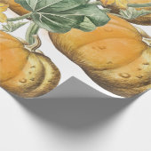 Herfst Autumn Waterverf pompoenen Cadeaupapier (Hoek)