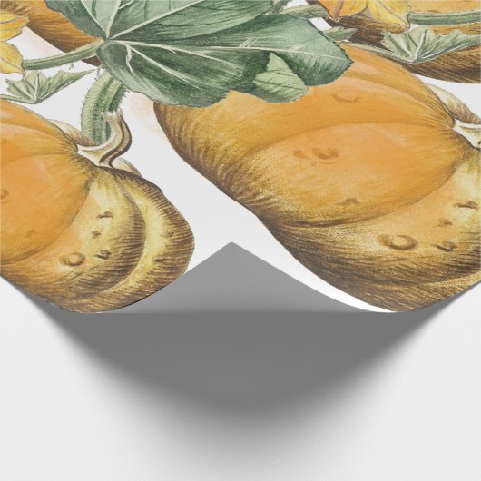 Herfst Autumn Waterverf pompoenen Cadeaupapier (Hoek)