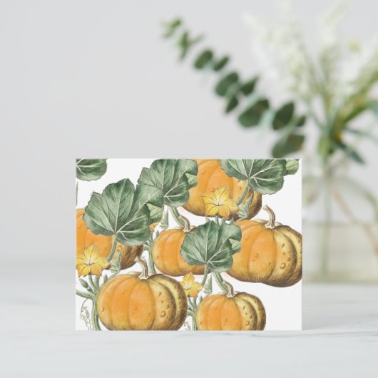 Herfst Autumn Waterverf  pompoenen Feestdagenkaart (Staand voorkant)
