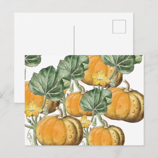 Herfst Autumn Waterverf  pompoenen Feestdagenkaart (Voorkant / Achterkant)