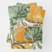 Herfst Autumn Waterverf pompoenen Inpakpapier Vel (In situ)