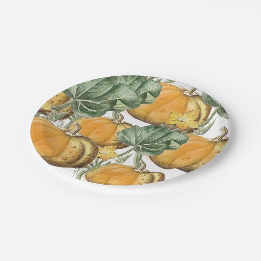 Herfst Autumn Waterverf  pompoenen Papieren Bordje (Gekanteld)