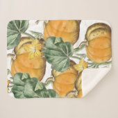 Herfst Autumn Waterverf  pompoenen Sherpa Deken (Voorkant (horizontaal))