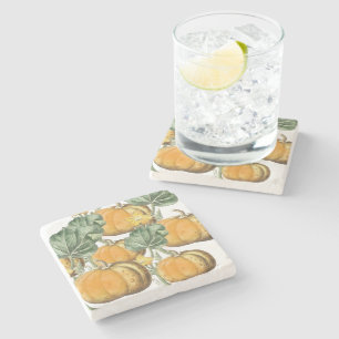 Herfst Autumn Waterverf  pompoenen Stenen Onderzetter