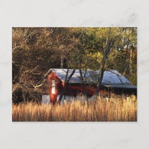 Herfst Barn in Centraal-Maryland Briefkaart