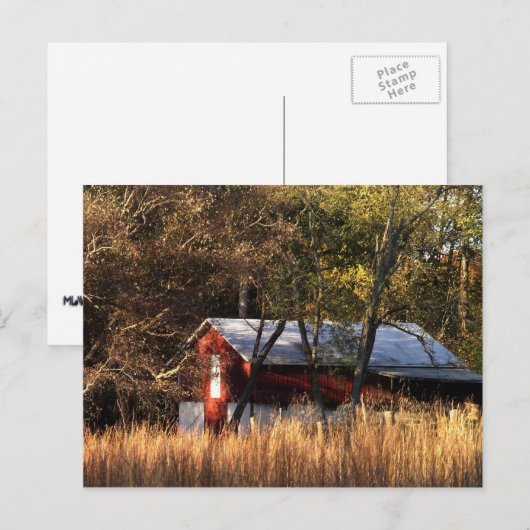 Herfst Barn in Centraal-Maryland Briefkaart (Voorkant / Achterkant)